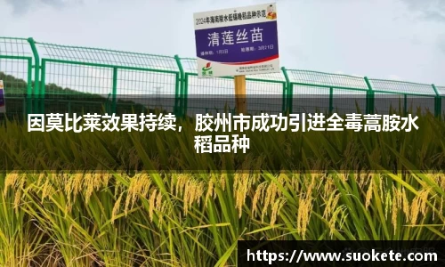 九游体育
